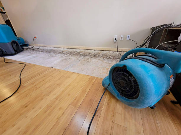 Professional Structural Drying technician working in Wilsonville, OR